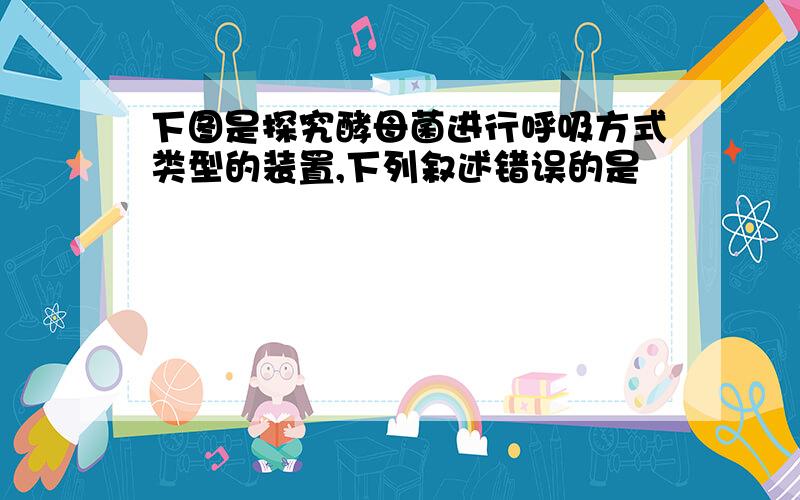 下图是探究酵母菌进行呼吸方式类型的装置,下列叙述错误的是