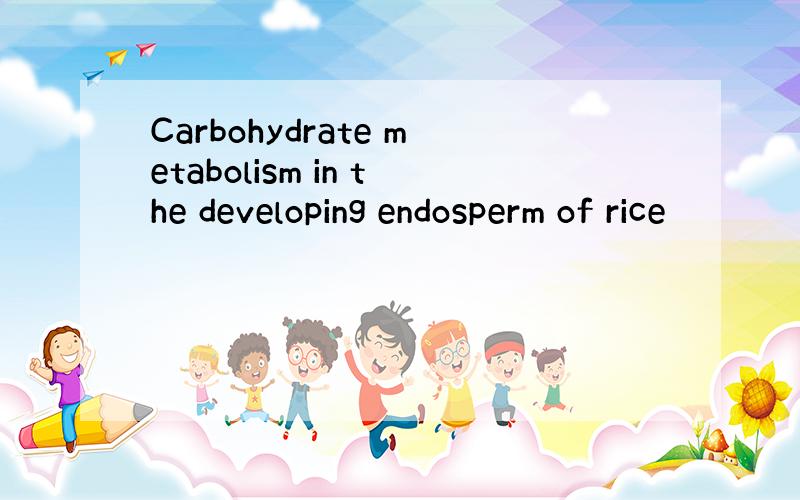 Carbohydrate metabolism in the developing endosperm of rice