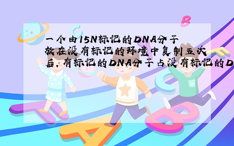 一个由15N标记的DNA分子放在没有标记的环境中复制五次后,有标记的DNA分子占没有标记的DNA分子的多少?