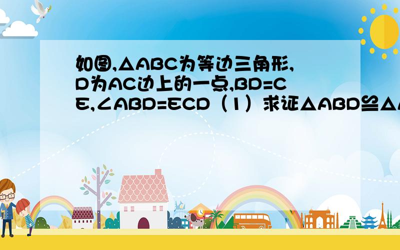 如图,△ABC为等边三角形,D为AC边上的一点,BD=CE,∠ABD=ECD（1）求证△ABD≌△ACE（2）是判断△A