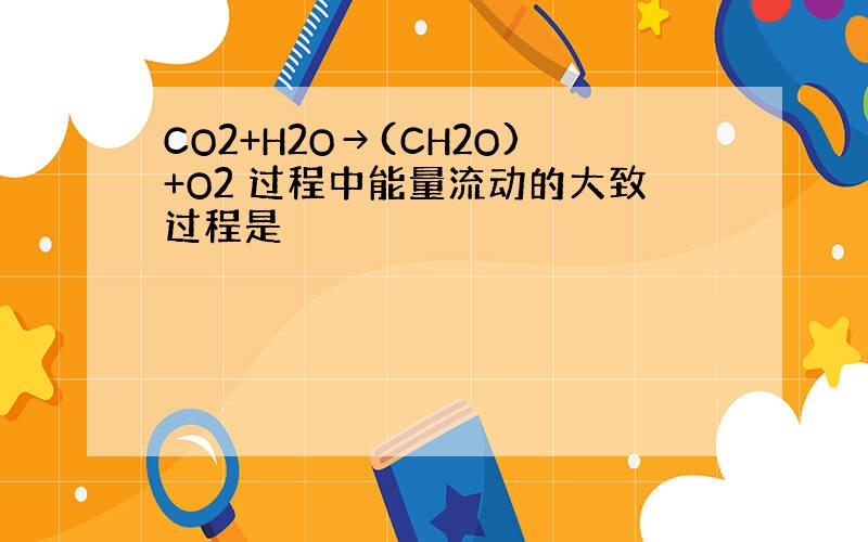 CO2+H2O→(CH2O)+O2 过程中能量流动的大致过程是