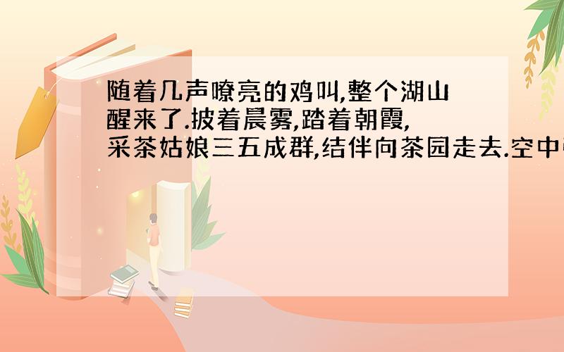 随着几声嘹亮的鸡叫,整个湖山醒来了.披着晨雾,踏着朝霞,采茶姑娘三五成群,结伴向茶园走去.空中弥漫着淡淡的花香,翠绿欲