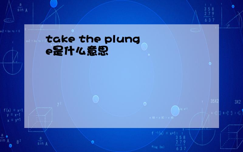 take the plunge是什么意思