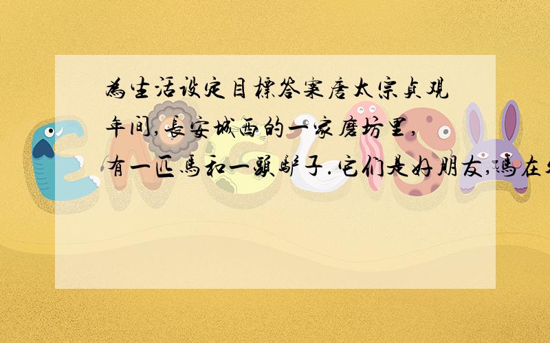 为生活设定目标答案唐太宗贞观年间,长安城西的一家磨坊里,有一匹马和一头驴子.它们是好朋友,马在外面拉东西,驴子在屋里推磨