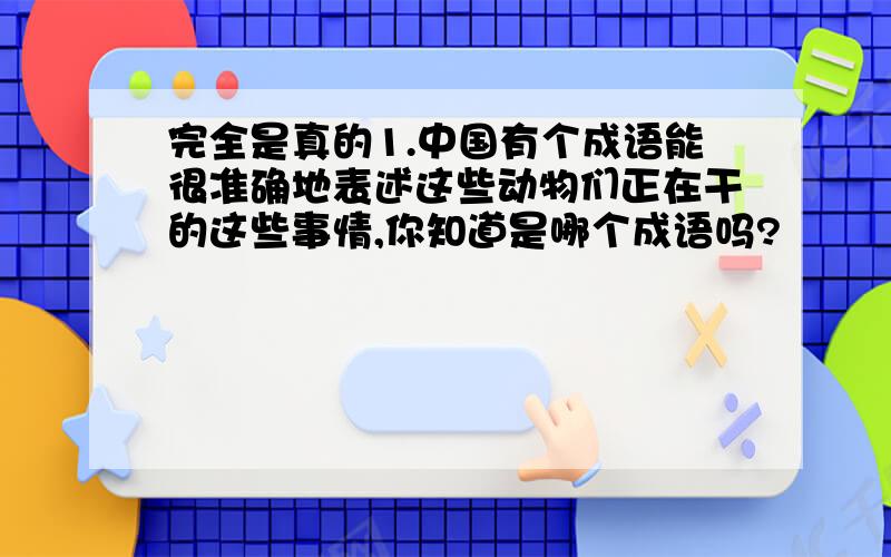 完全是真的1.中国有个成语能很准确地表述这些动物们正在干的这些事情,你知道是哪个成语吗?