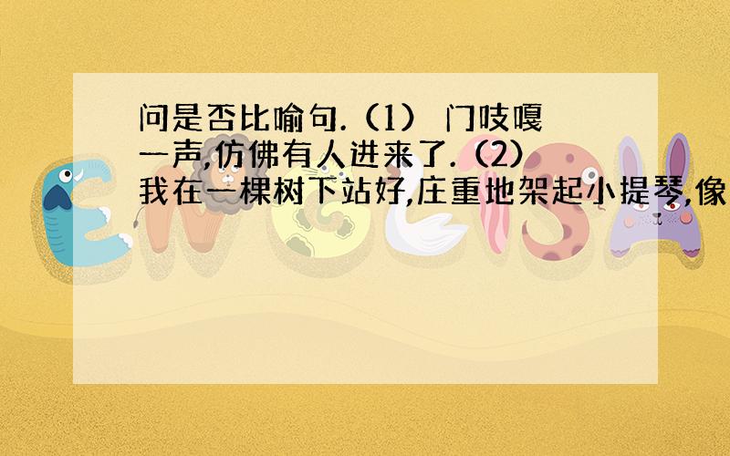 问是否比喻句.（1） 门吱嘎一声,仿佛有人进来了.（2）我在一棵树下站好,庄重地架起小提琴,像举行一个隆重的仪式,拉响了