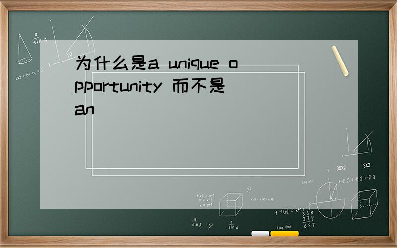 为什么是a unique opportunity 而不是an