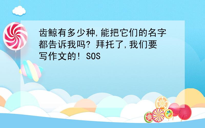 齿鲸有多少种,能把它们的名字都告诉我吗? 拜托了,我们要写作文的! SOS