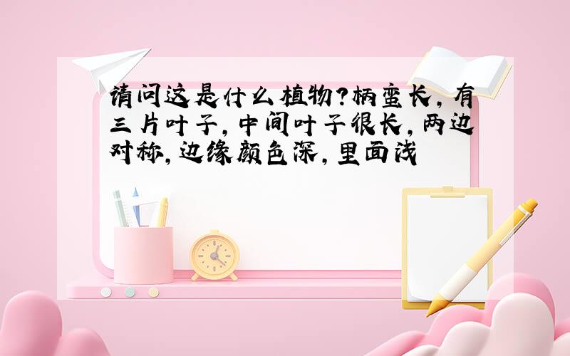 请问这是什么植物?柄蛮长,有三片叶子,中间叶子很长,两边对称,边缘颜色深,里面浅