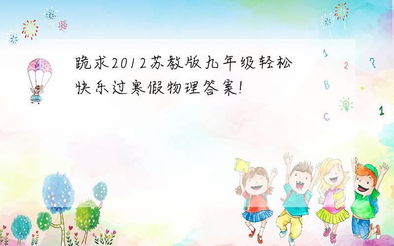 跪求2012苏教版九年级轻松快乐过寒假物理答案!