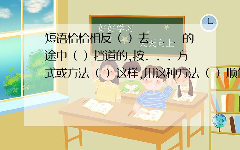 短语恰恰相反（ ）去．．．的途中（ ）挡道的,按．．．方式或方法（ ）这样,用这种方法（ ）顺便问一下（ ）在某种程度上