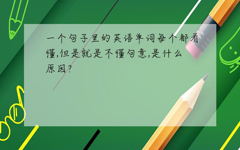 一个句子里的英语单词每个都看懂,但是就是不懂句意,是什么原因?