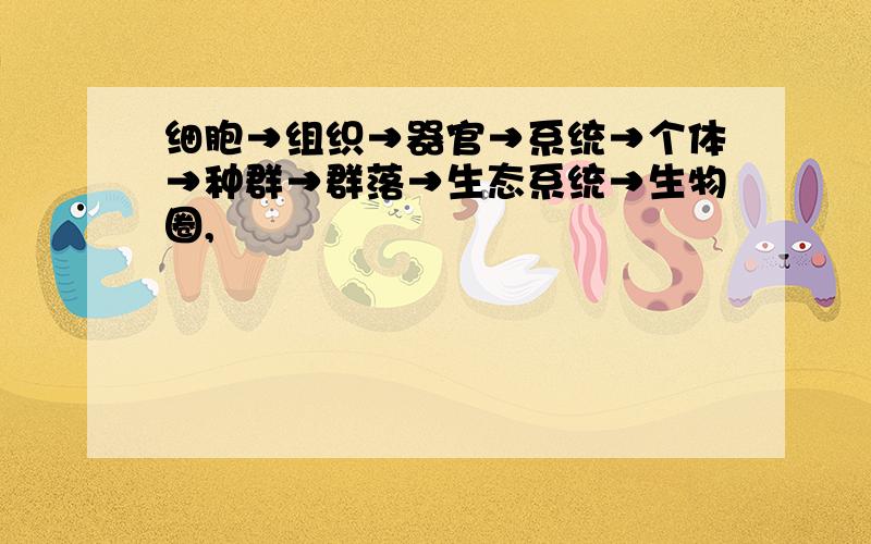 细胞→组织→器官→系统→个体→种群→群落→生态系统→生物圈,