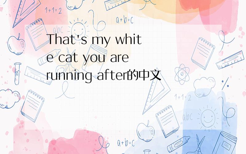 That's my white cat you are running after的中文