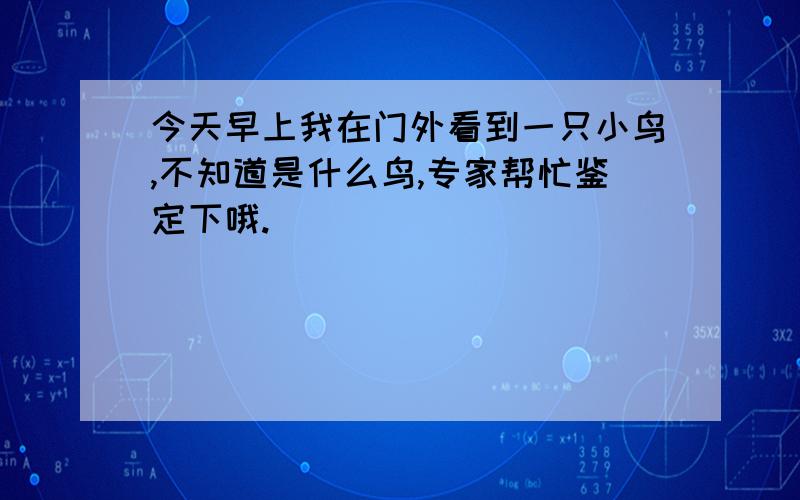 今天早上我在门外看到一只小鸟,不知道是什么鸟,专家帮忙鉴定下哦.