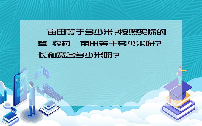 一亩田等于多少米?按照实际的算 农村一亩田等于多少米呀?长和宽各多少米呀?