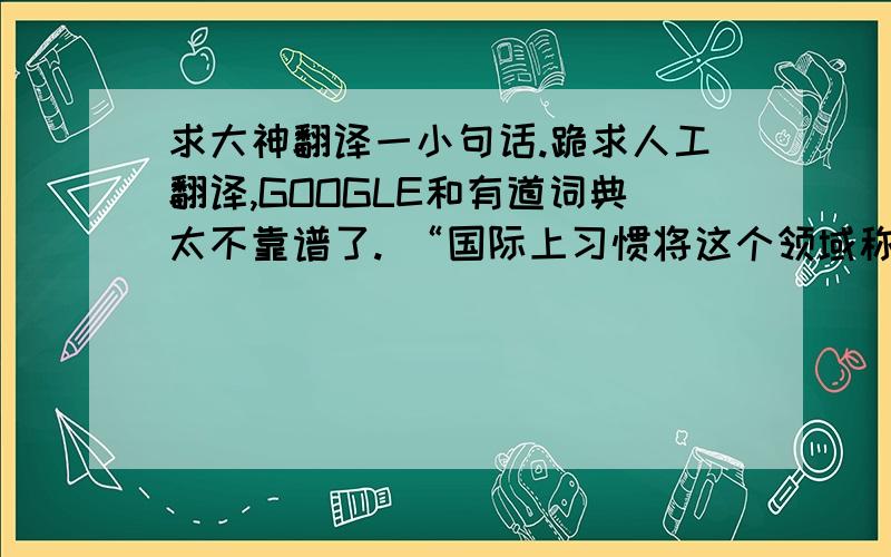 求大神翻译一小句话.跪求人工翻译,GOOGLE和有道词典太不靠谱了. “国际上习惯将这个领域称为CG.”