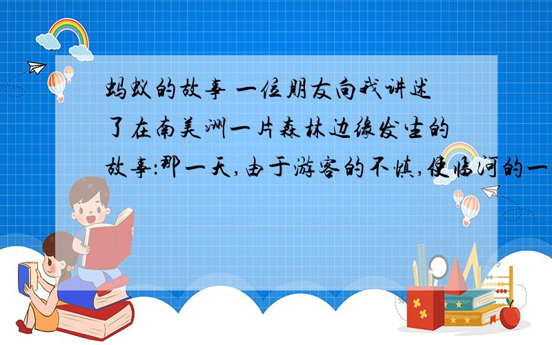 蚂蚁的故事 一位朋友向我讲述了在南美洲一片森林边缘发生的故事：那一天,由于游客的不慎,使临河的一片草起火了,顺着风势游走