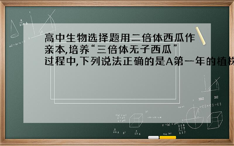 高中生物选择题用二倍体西瓜作亲本,培养“三倍体无子西瓜”过程中,下列说法正确的是A第一年的植株中,染色体组可存在2,3,