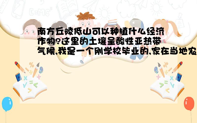 南方丘陵低山可以种植什么经济作物?这里的土壤呈酸性亚热带气候,我是一个刚学校毕业的,家在当地农村