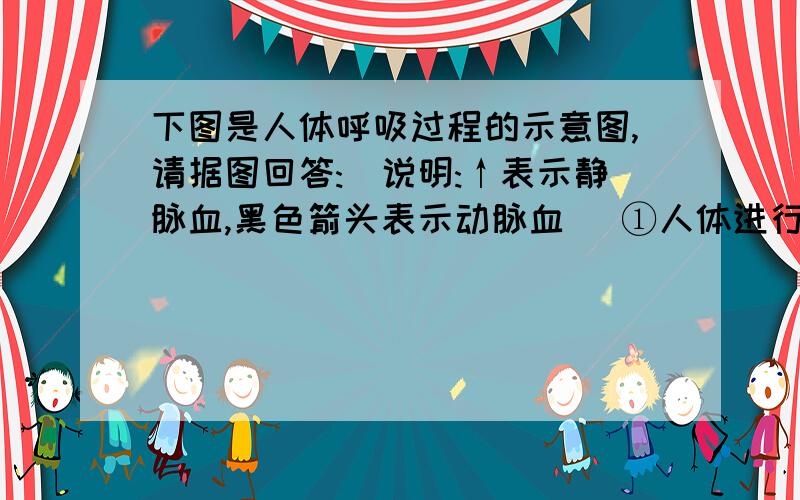 下图是人体呼吸过程的示意图,请据图回答:（说明:↑表示静脉血,黑色箭头表示动脉血） ①人体进行呼吸时