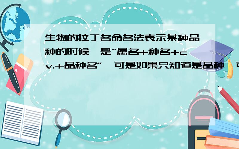 生物的拉丁名命名法表示某种品种的时候,是“属名+种名+cv.+品种名”,可是如果只知道是品种,可不可以“属名+种名+cv