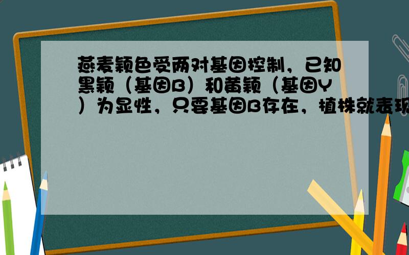 燕麦颖色受两对基因控制，已知黑颖（基因B）和黄颖（基因Y）为显性，只要基因B存在，植株就表现为黑颖.用纯种黄颖与纯种黑颖