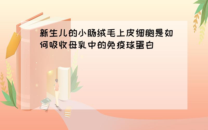 新生儿的小肠绒毛上皮细胞是如何吸收母乳中的免疫球蛋白