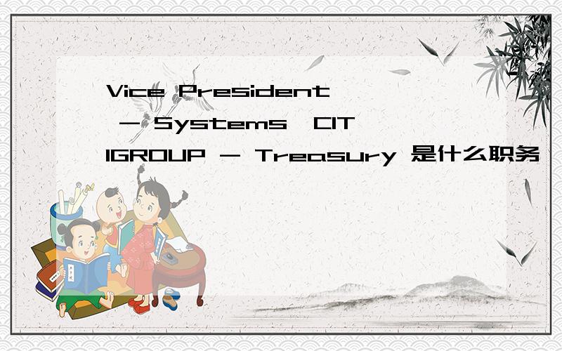 Vice President - Systems,CITIGROUP - Treasury 是什么职务