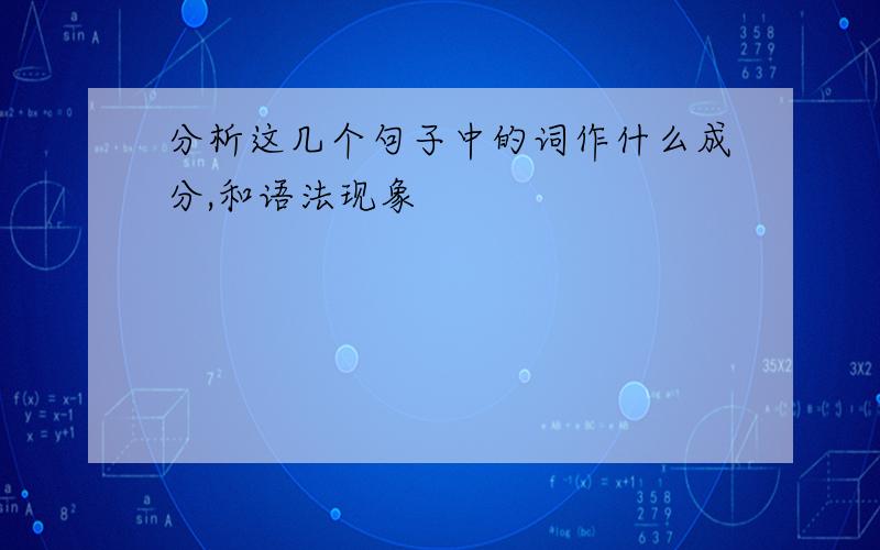 分析这几个句子中的词作什么成分,和语法现象