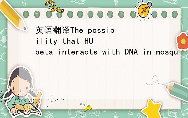 英语翻译The possibility that HU beta interacts with DNA in mosqu