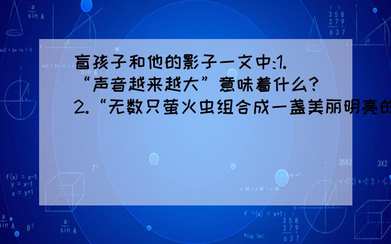 盲孩子和他的影子一文中:1.“声音越来越大”意味着什么?2.“无数只萤火虫组合成一盏美丽明亮的灯”.