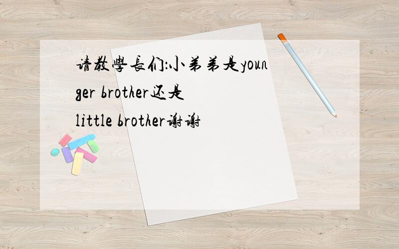 请教学长们：小弟弟是younger brother还是 little brother谢谢