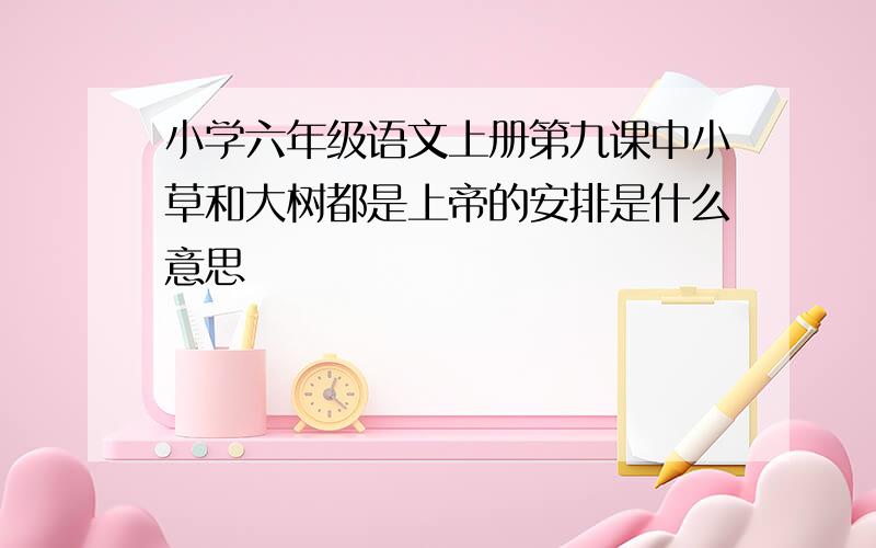 小学六年级语文上册第九课中小草和大树都是上帝的安排是什么意思