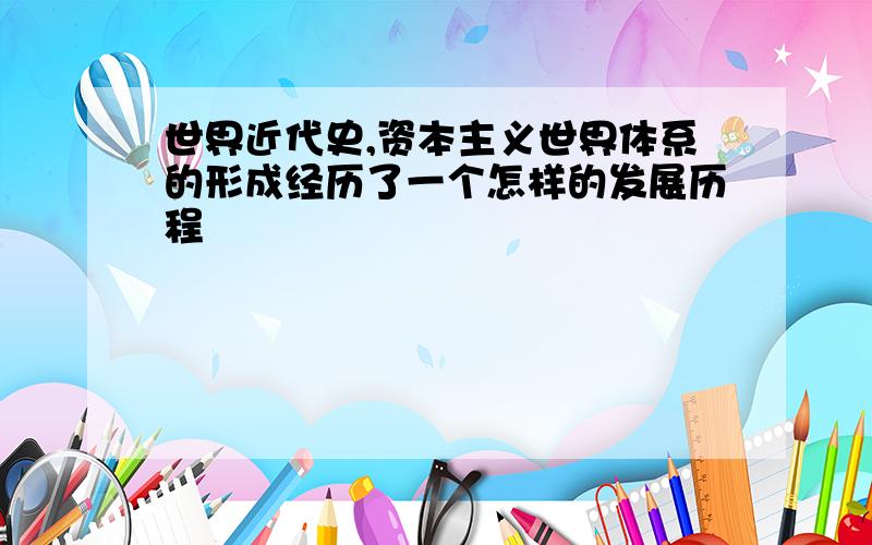 世界近代史,资本主义世界体系的形成经历了一个怎样的发展历程