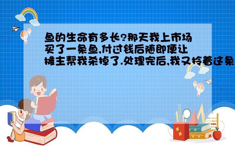 鱼的生命有多长?那天我上市场买了一条鱼,付过钱后随即便让摊主帮我杀掉了.处理完后,我又拎着这条已经被杀的鱼去买些别的菜.