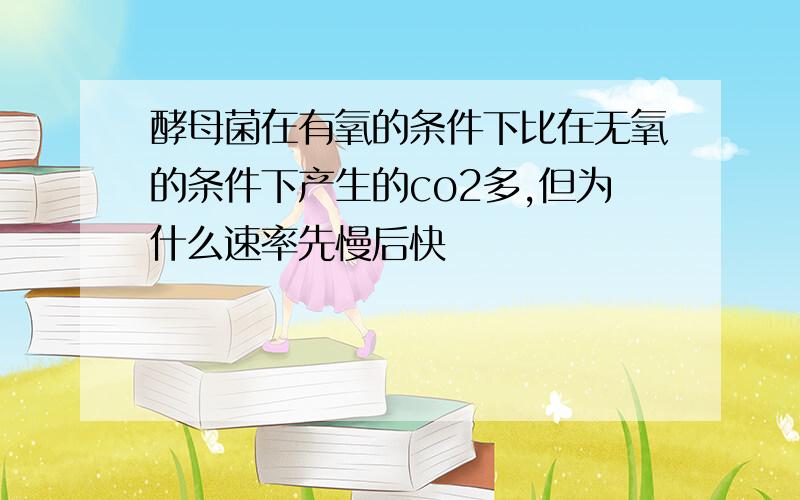 酵母菌在有氧的条件下比在无氧的条件下产生的co2多,但为什么速率先慢后快