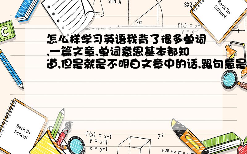 怎么样学习英语我背了很多单词,一篇文章,单词意思基本都知道,但是就是不明白文章中的话,跟句意是什么…该怎么办!我急死了