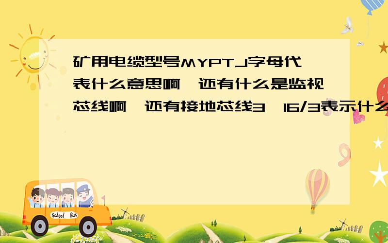 矿用电缆型号MYPTJ字母代表什么意思啊,还有什么是监视芯线啊,还有接地芯线3×16/3表示什么意思啊,十分