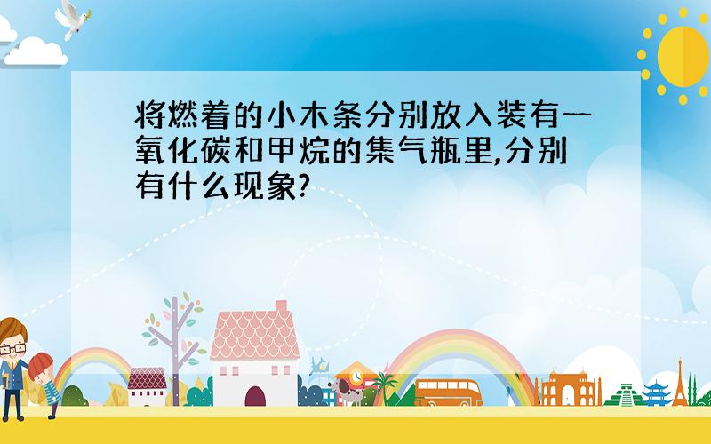 将燃着的小木条分别放入装有一氧化碳和甲烷的集气瓶里,分别有什么现象?