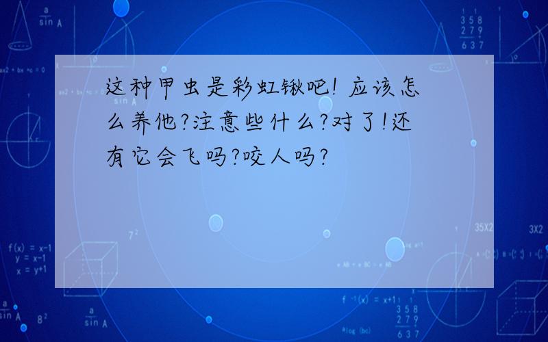 这种甲虫是彩虹锹吧! 应该怎么养他?注意些什么?对了!还有它会飞吗?咬人吗?