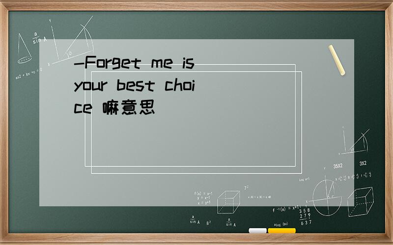 -Forget me is your best choice 嘛意思