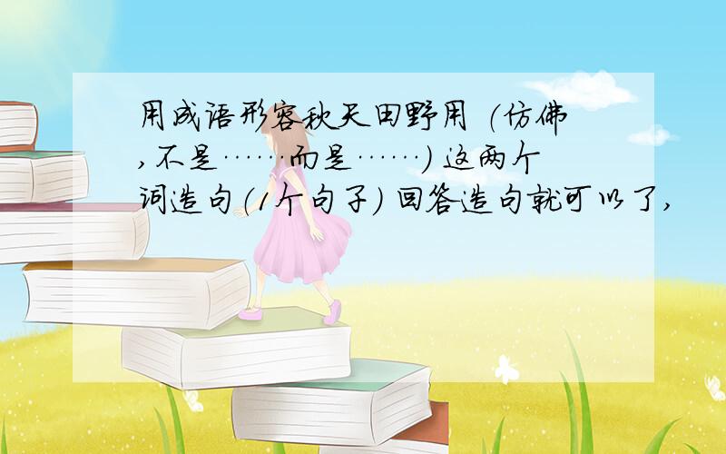 用成语形容秋天田野用 （仿佛,不是……而是……） 这两个词造句（1个句子） 回答造句就可以了,