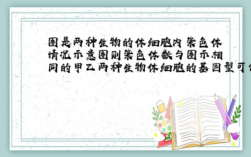 图是两种生物的体细胞内染色体情况示意图则染色体数与图示相同的甲乙两种生物体细胞的基因型可依次表示为