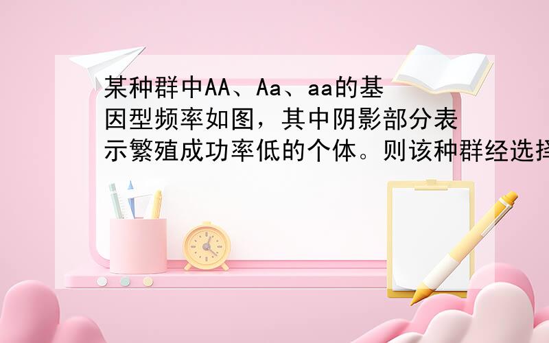 某种群中AA、Aa、aa的基因型频率如图，其中阴影部分表示繁殖成功率低的个体。则该种群经选择之后，下一代中三种基因型频率