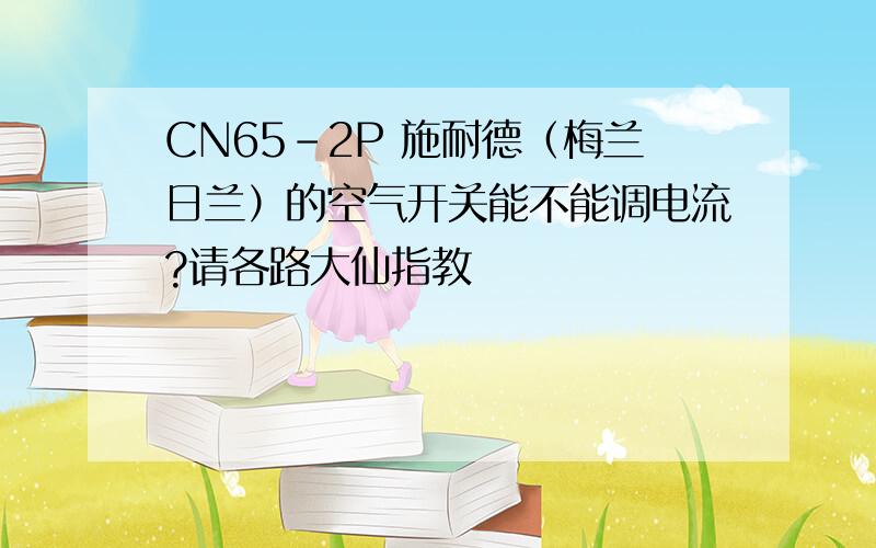 CN65-2P 施耐德（梅兰日兰）的空气开关能不能调电流?请各路大仙指教