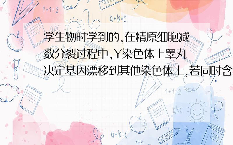 学生物时学到的,在精原细胞减数分裂过程中,Y染色体上睾丸决定基因漂移到其他染色体上,若同时含有该基因和X染色体的精子与卵