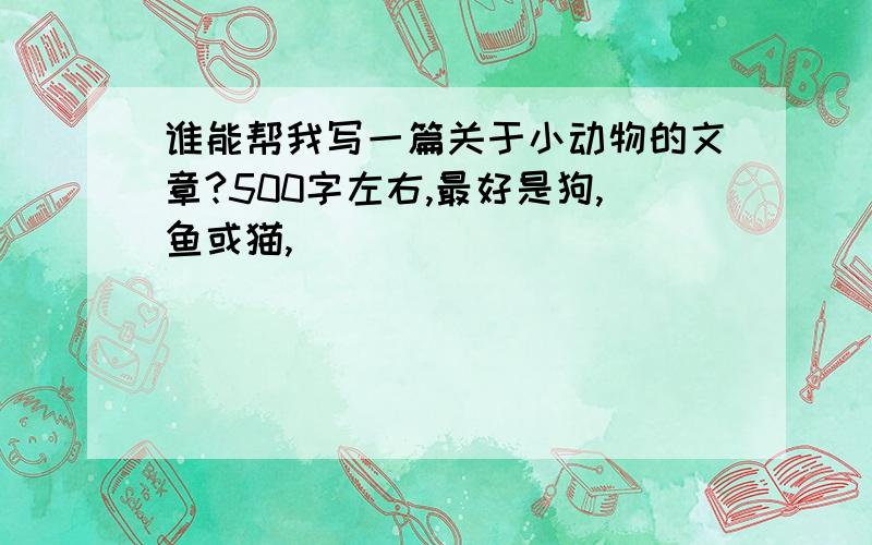 谁能帮我写一篇关于小动物的文章?500字左右,最好是狗,鱼或猫,