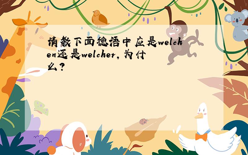 请教下面德语中应是welchen还是welcher,为什么?