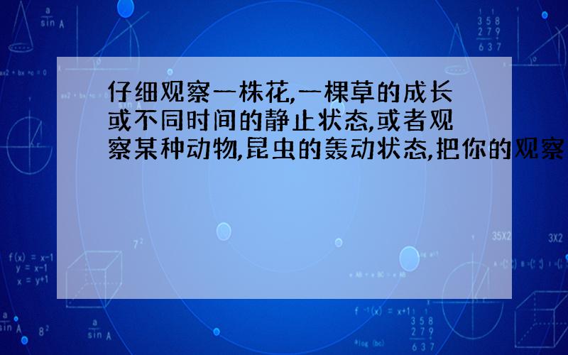 仔细观察一株花,一棵草的成长或不同时间的静止状态,或者观察某种动物,昆虫的轰动状态,把你的观察所得